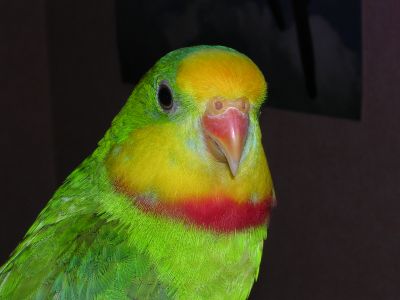 DSCN0328.JPG
