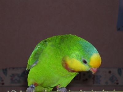 DSCN0329.JPG