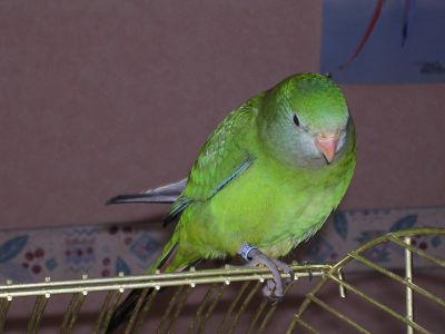 DSCN0330.JPG