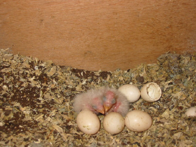 130-3051_IMG.JPG