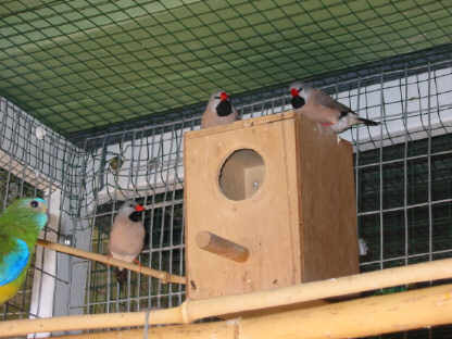 130-3065_IMG.JPG