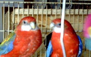 omnicolore08.jpg
