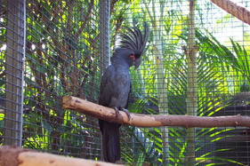 Tenerife30027_redimensionner.jpg