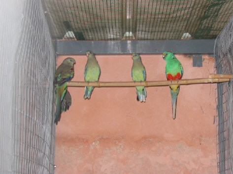 131-3153_IMG.JPG