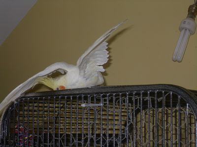 SDC12281_opt.jpg