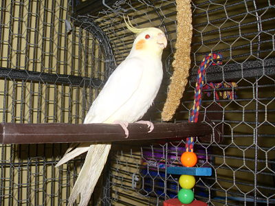 SDC12246_opt.jpg