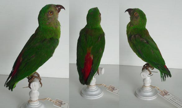 Non-identifie---1880-env--195-2-big-www-the-little-museum-shop-com.jpg