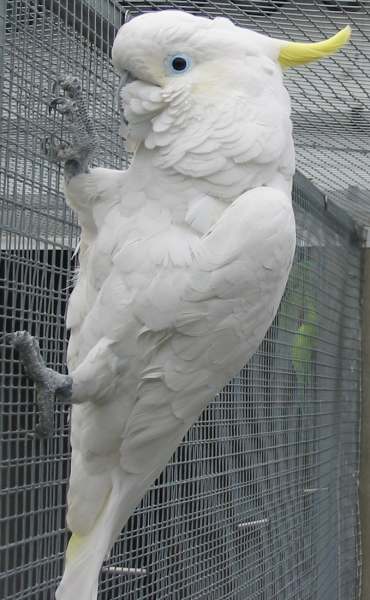 121-2177_IMG.jpg