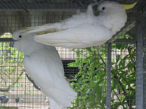 121-2183_IMG.jpg