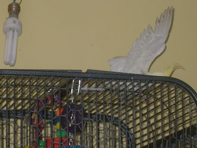 SDC12346_opt.jpg