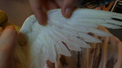 02012011012_opt.jpg