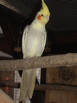 tmpphpM7Eq09.jpg