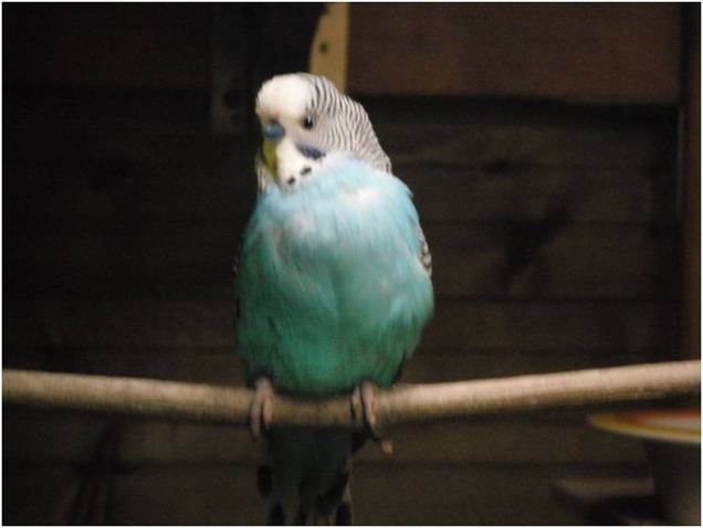Image1.jpg