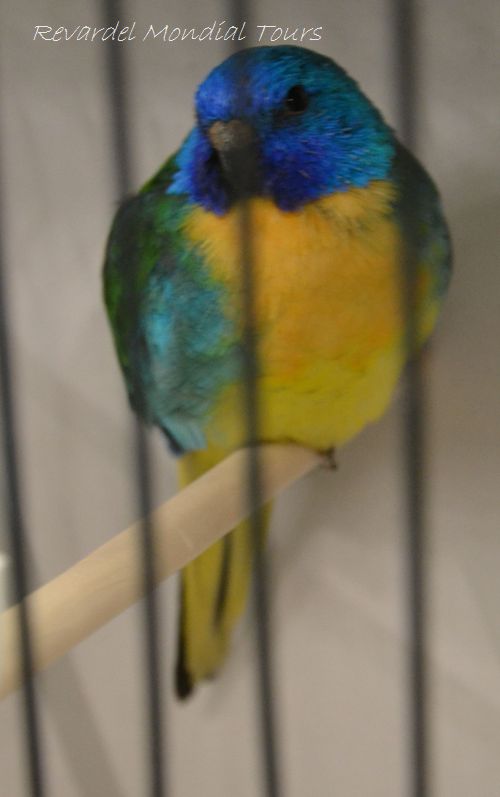 DSC_0254.JPG