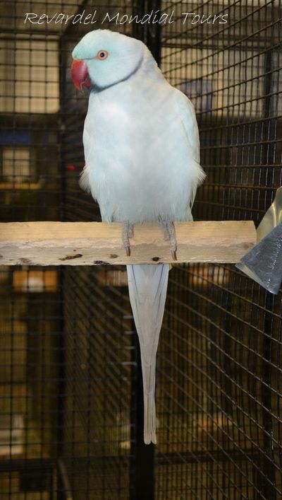 DSC_0350.JPG