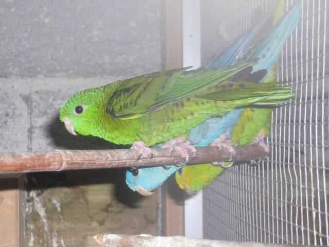 P1010206.jpg
