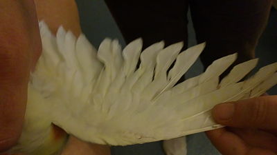 06022011154_opt.jpg