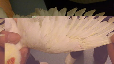 06022011159_opt.jpg