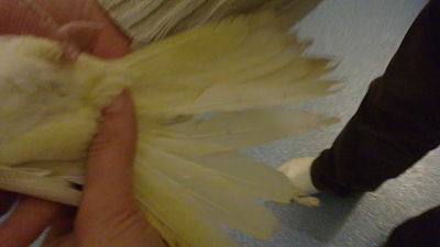 06022011161_opt.jpg