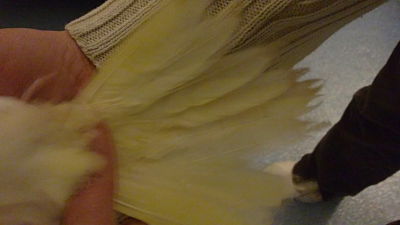 06022011162_opt.jpg