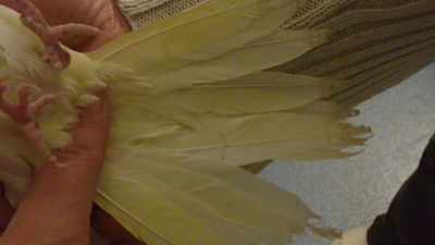 06022011163_opt.jpg