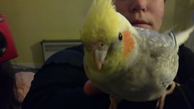 06022011141_opt.jpg