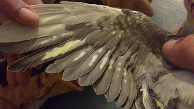 06022011150_opt.jpg