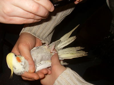 SDC12448_opt.jpg