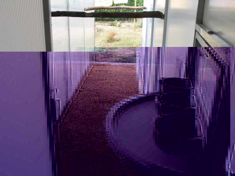 090908 003a.jpg