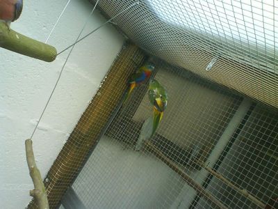 02.JPG