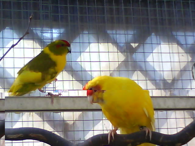 DSC00062.JPG