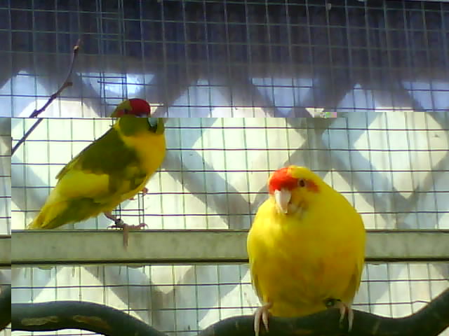 DSC00061.JPG