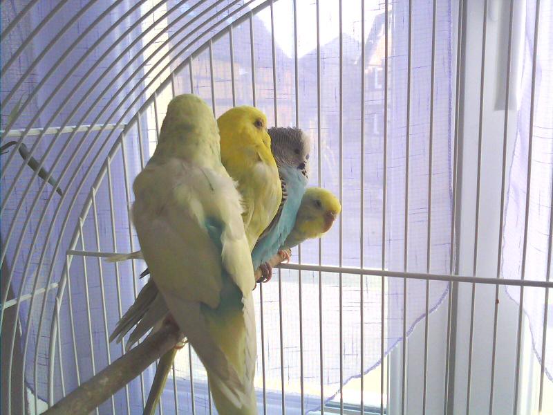 IMG0057A.jpg