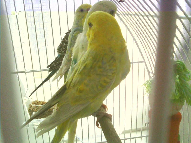 IMG0058A.jpg