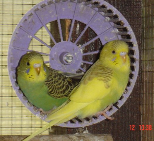 bb 2004-2.jpg