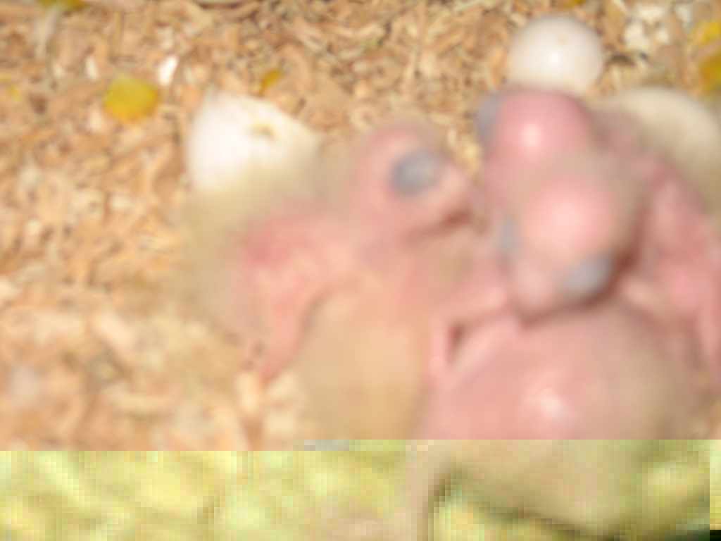 soleil 016a.jpg