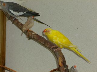 P1000055.JPG