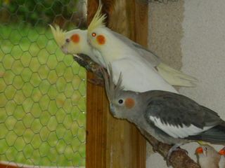 P1000056.JPG