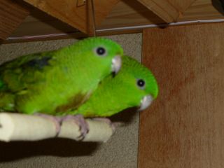 P1000057.JPG