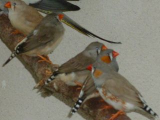 P1000058.JPG