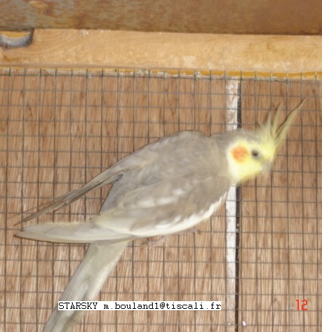 op cin DSC01266.jpg