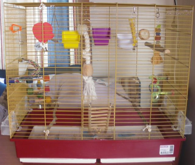 IMGP3442.1.jpg