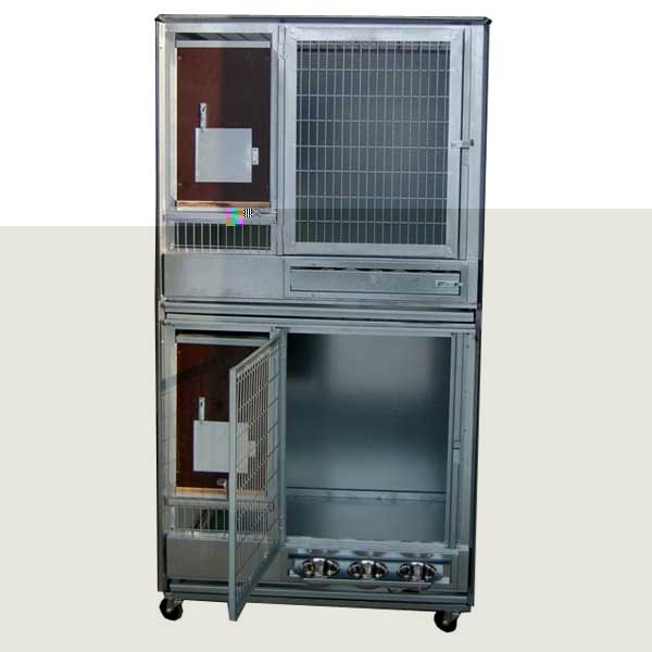 box-perroquet.jpg