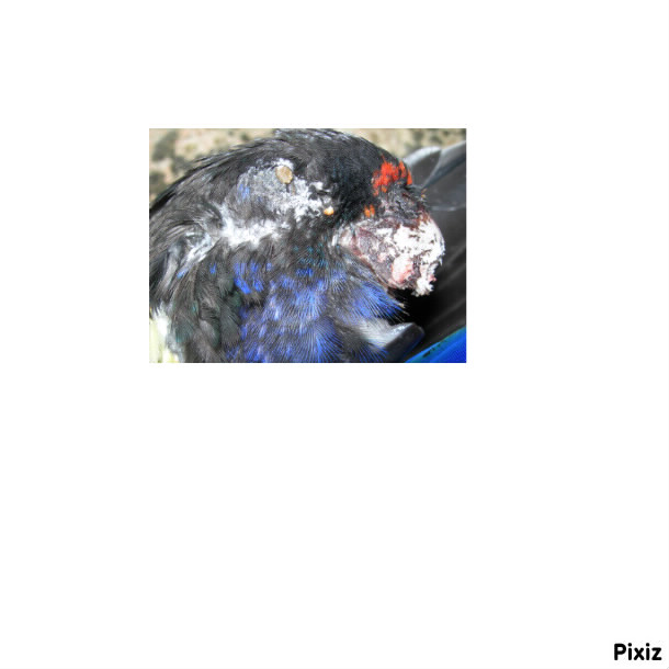 DSCN5647.JPG