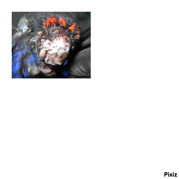DSCN5648.JPG