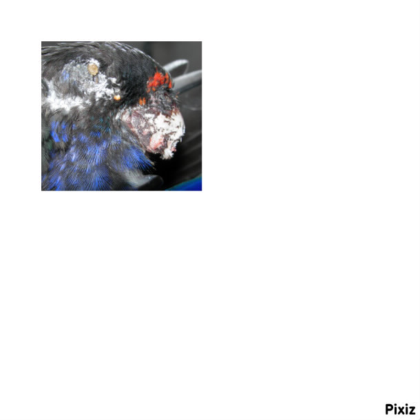 DSCN5649.JPG