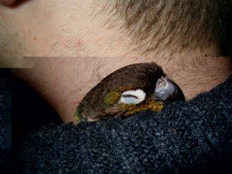 HPIM0105.JPG