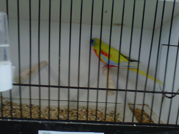IMG00437-20111030-1438_opt.jpg