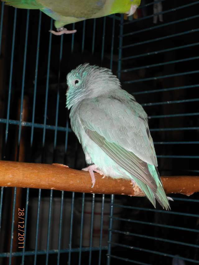 PC280002_PhotoRedukto.jpg
