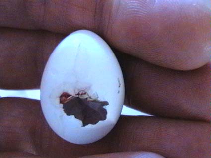 Photo.jpg